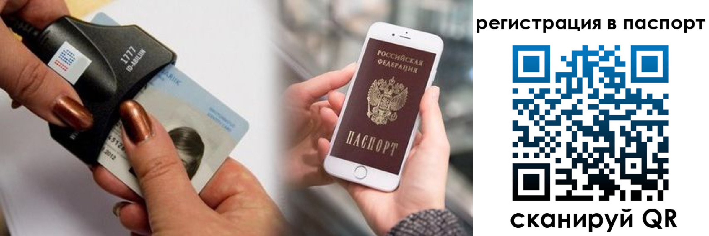найти адрес прописки в Камчатской области